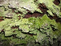 Grotta tre livelli